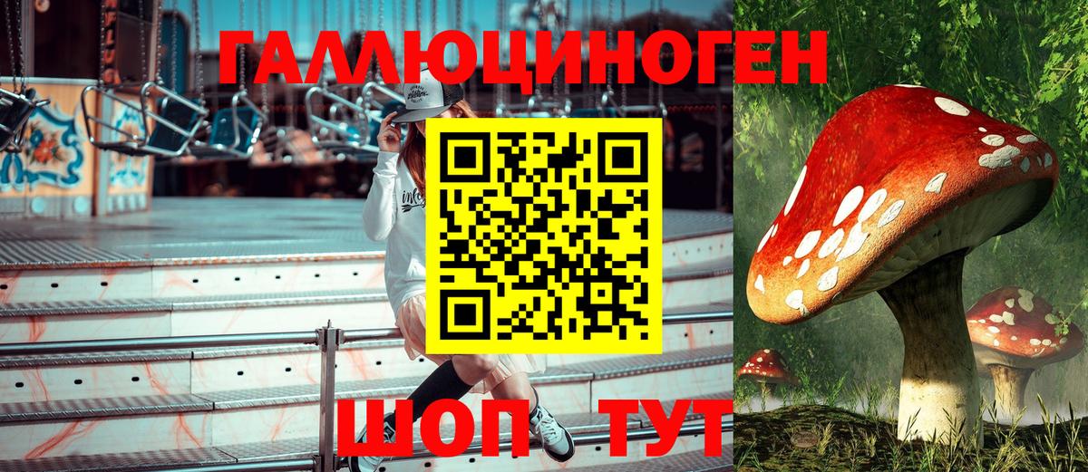 Губкинский  Галлюциногенные грибы Psilocybine cubensis  Вход с VPN 